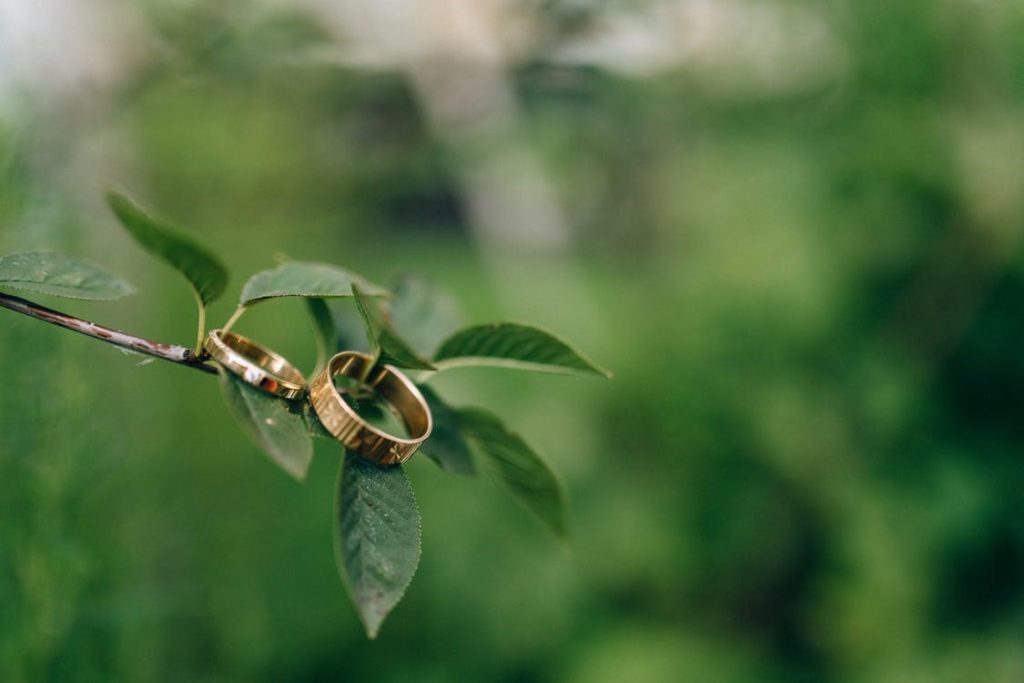 Creative-jewellery-photography-with-Twig & Plants